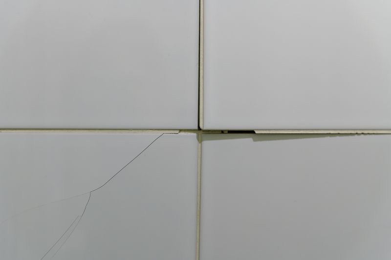 Ceramic Tile Repair And Installation